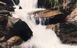玉龍?jiān)?、響水?></a></dd>
  <dd>
	 

	

	 

	　　雨母山西北一個(gè)山皂，東西縱向長達(dá)1公里。有叫玉龍?jiān)恚薪许懰?。該皂有響水泉和響水瀑布。在玉龍?jiān)砼c九龍沖相隔的山坳，叫玉龍騰山坳，簡稱玉龍坳。玉龍土皂現(xiàn)駐有供電所、林場和蒸湘區(qū)黨校。在玉龍?jiān)淼祝幸蝗_，叫玉龍臺。...[<a href=
