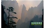 張家界國家森林公園、寶峰湖/黃龍洞、鳳凰古城、三峽八日游