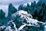 【純玩拼團線路18】下午班：鳳凰古城、張家界、天子山三晚四日游