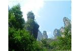 【純玩拼團(tuán)線路 張家界出發(fā)A2線】張家界、袁家界、天子山、金鞭溪、鳳凰古城2晚3日游